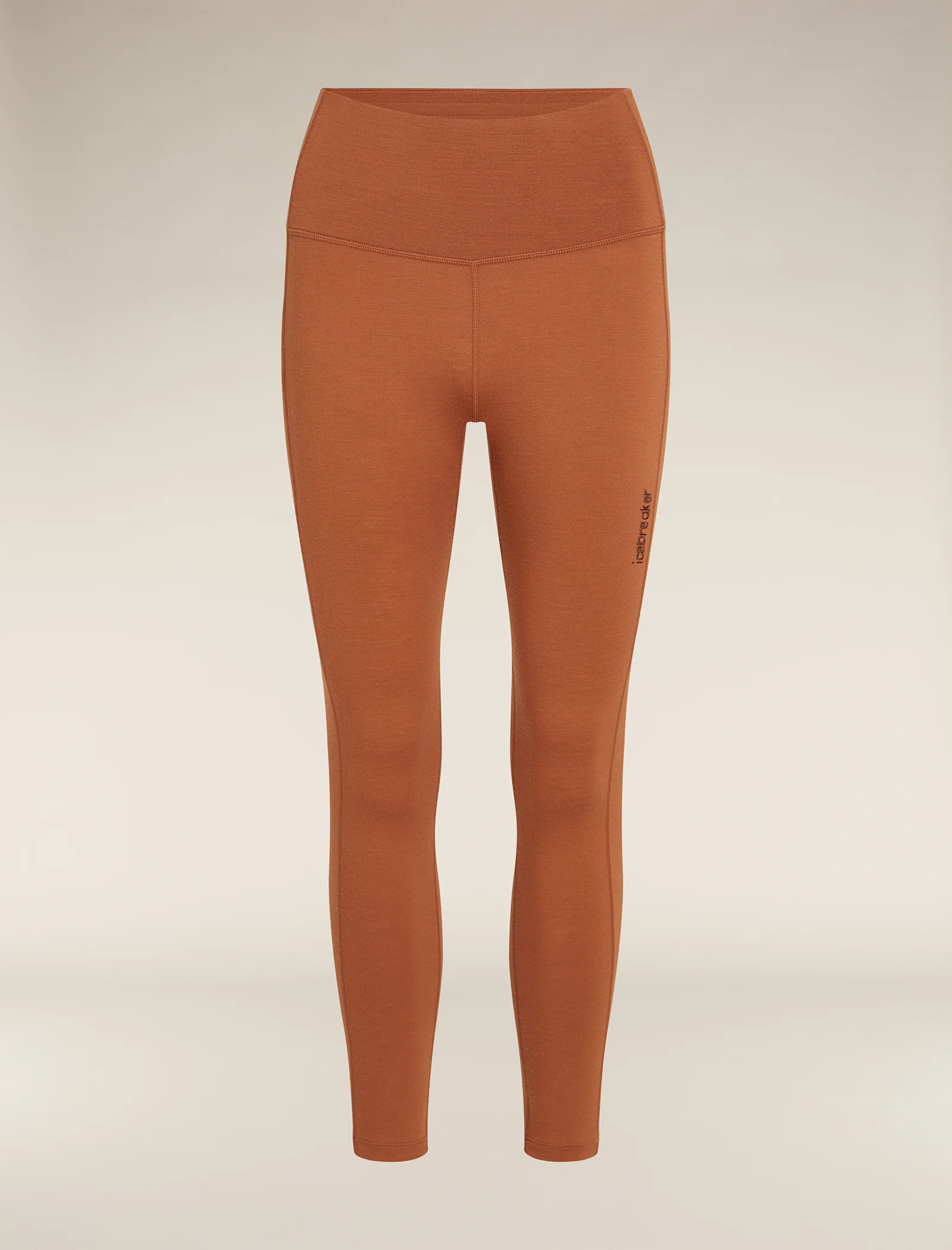 Women's Merino 260 Fastray 25" High Rise Tights - Image 6