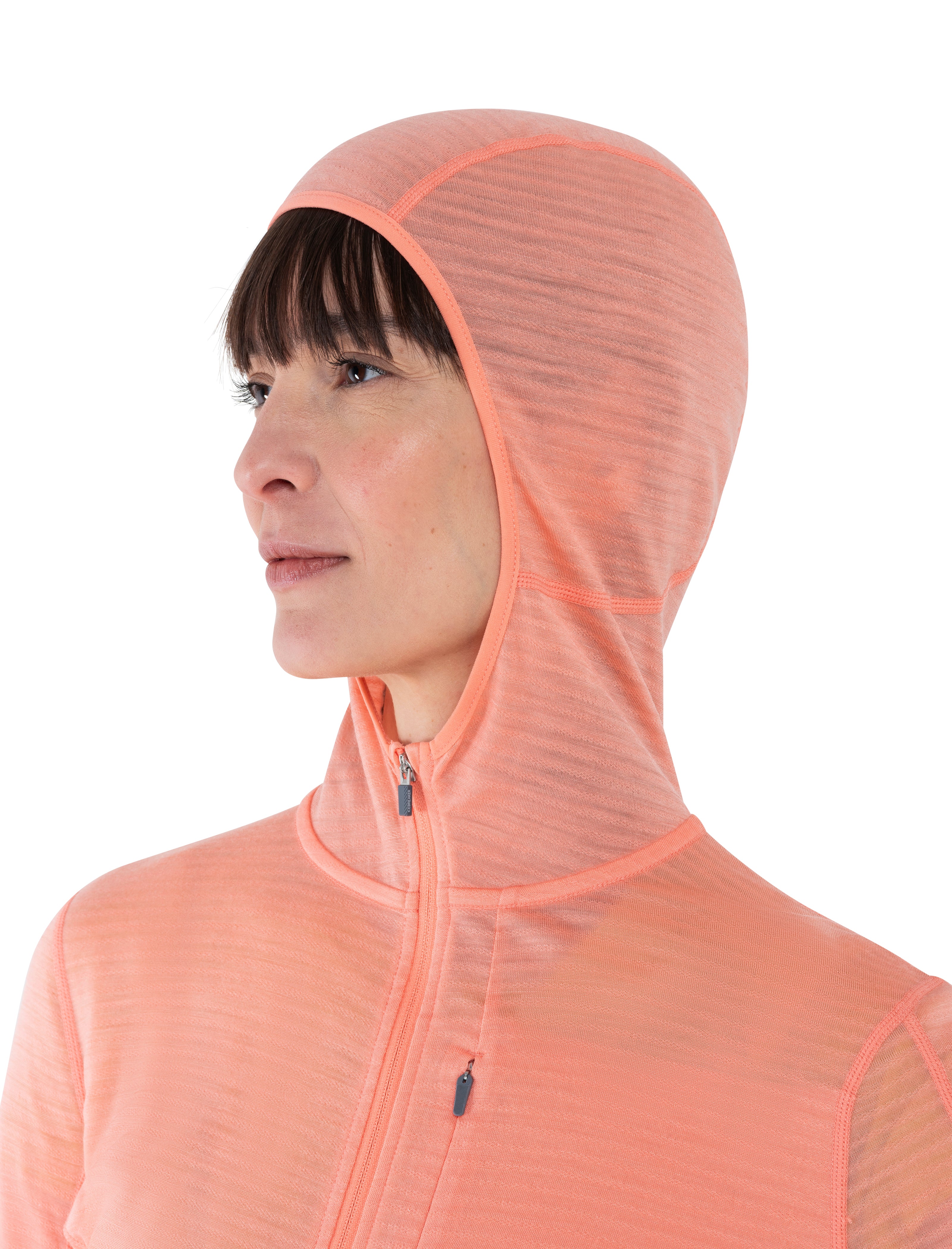 Women's Merino Blend 200 Realfleece⢠Descender Long Sleeve Zip Hoodie - Image 5